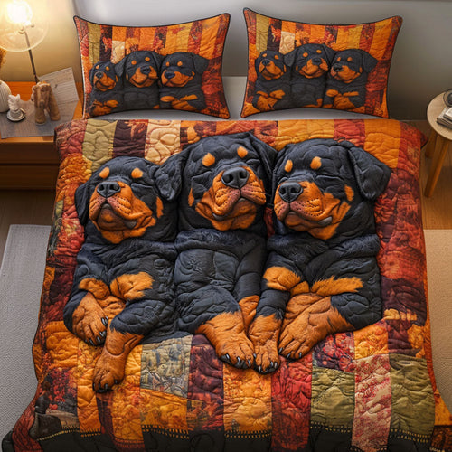 Snuggle Squad 3-Piece Quilted Bedding Set NCU0NNT758