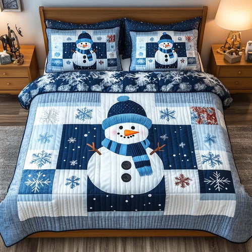 Blue Frosty 3-Piece Quilted Bedding Set NCU0DQQ020