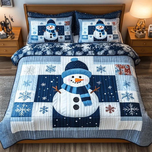 Blue Frosty 3-Piece Quilted Bedding Set NCU0DQQ020