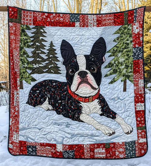 Boston Buddy Quilted Blanket NCU0PT582