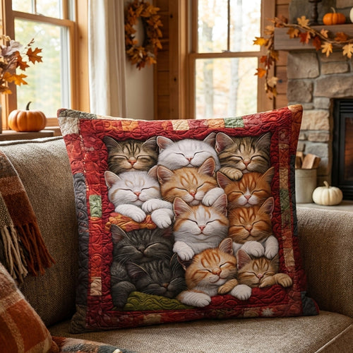 Cozy Whiskers Quilted Pillow Case NCU0PTT1407