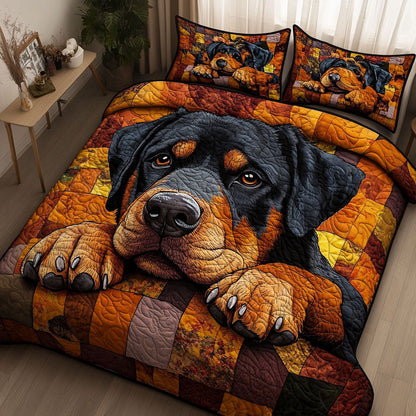 Cozy Canine Charm 3-Piece Quilted Bedding Set NCU0NNT743