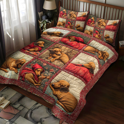 Cozy Hoods 3-Piece Quilted Bedding Set NCU0NT1652