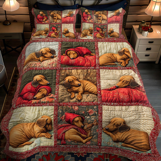 Cozy Hoods 3-Piece Quilted Bedding Set NCU0NT1652