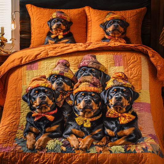 Cozy Pack 3-Piece Quilted Bedding Set NCU0NNT753