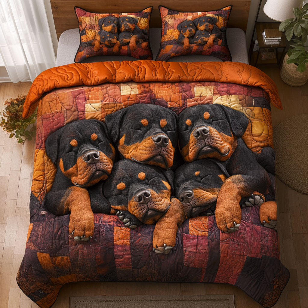 Dream Nest 3-Piece Quilted Bedding Set NCU0NNT754