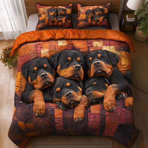 Dream Nest 3-Piece Quilted Bedding Set NCU0NNT754