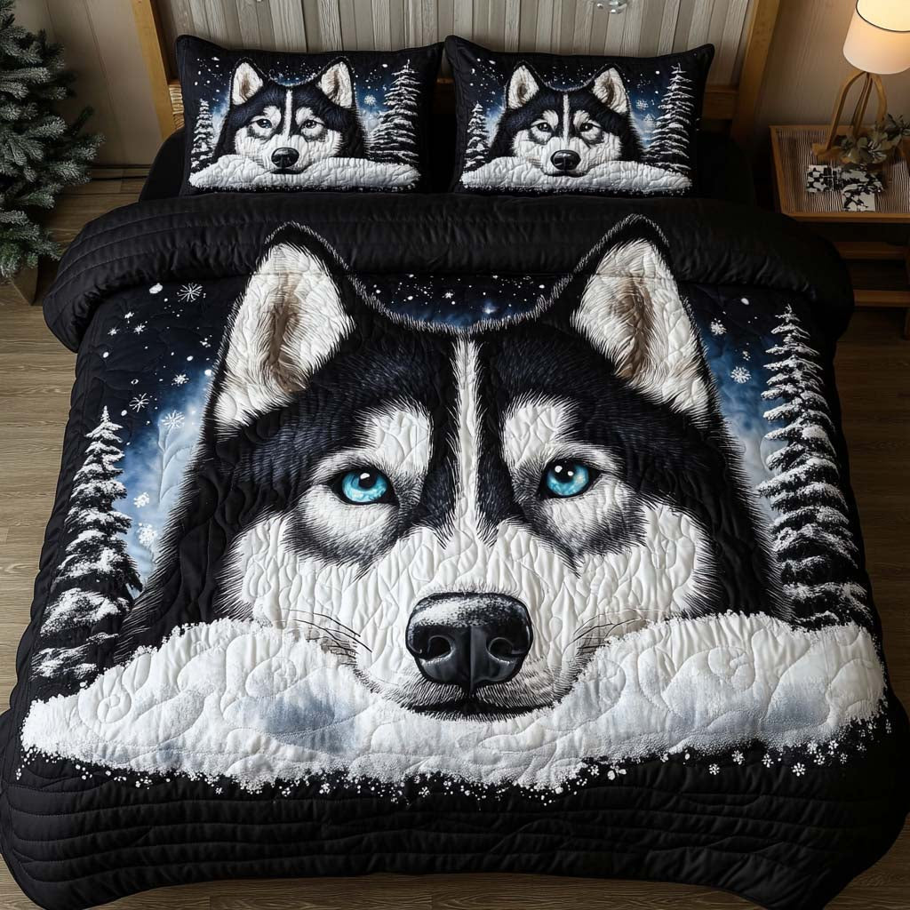 Eyes of Ice 3-Piece Quilted Bedding Set NCU0NNT791