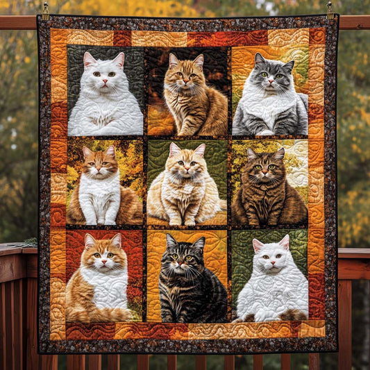 Feline Harmony Quilted Blanket NCU0NT576