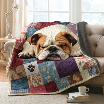 Paws and Wrinkles Haven Quilted Blanket NCU0PTT2657