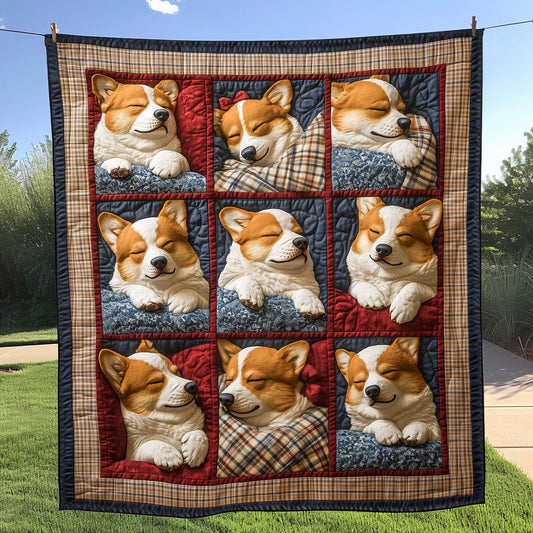 Warm Paws Quilted Blanket NCU0PT923