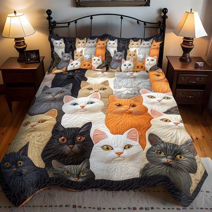 Multicolored Cats 3-Piece Quilted Bedding Set NCU0PD422